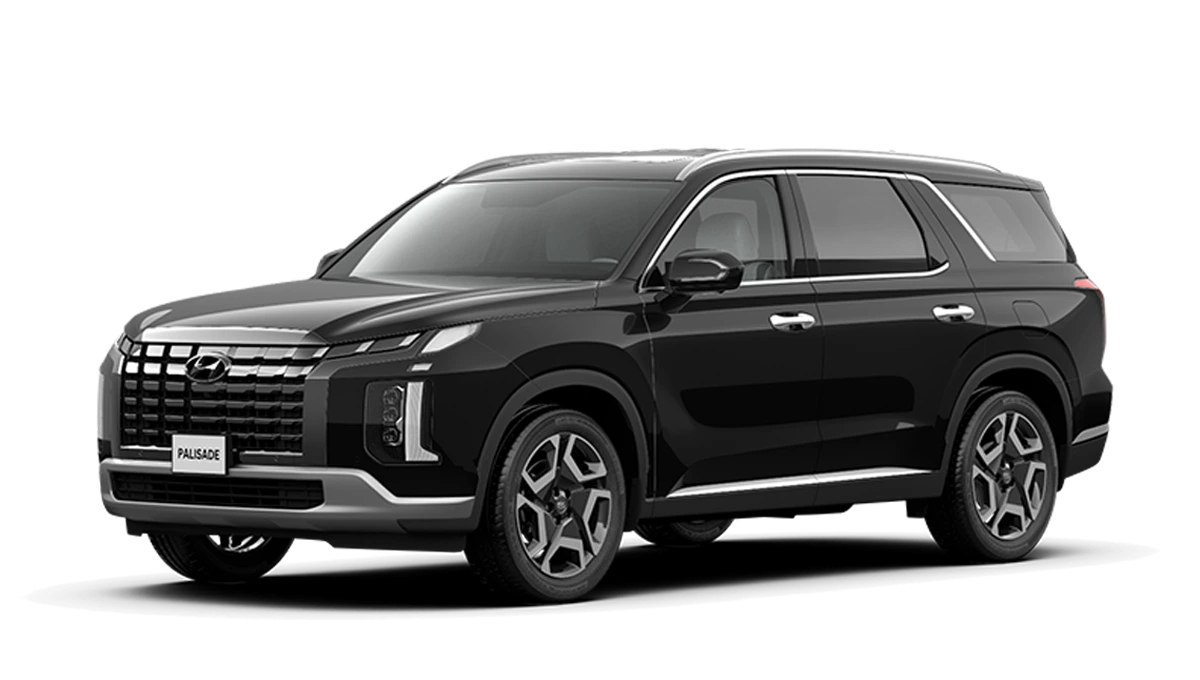 Hyundai Palisade Bến Tre